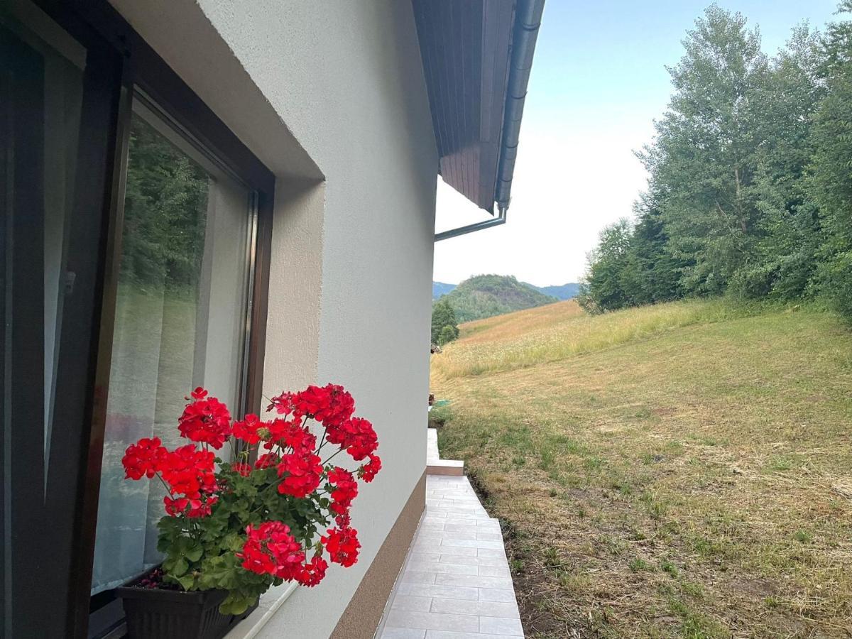 Hanul Ursilor Chiscau Exteriér fotografie